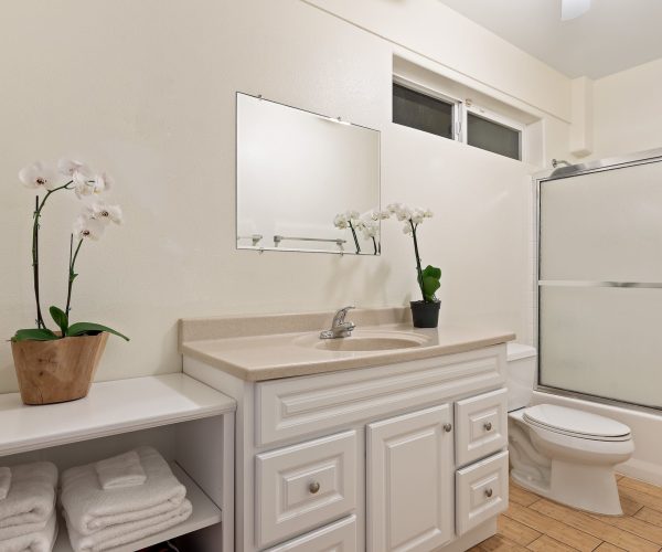 Makaha_Hawaii_bathroom_2