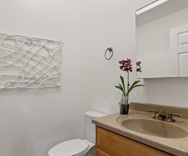 clean bathroom sink and toilet